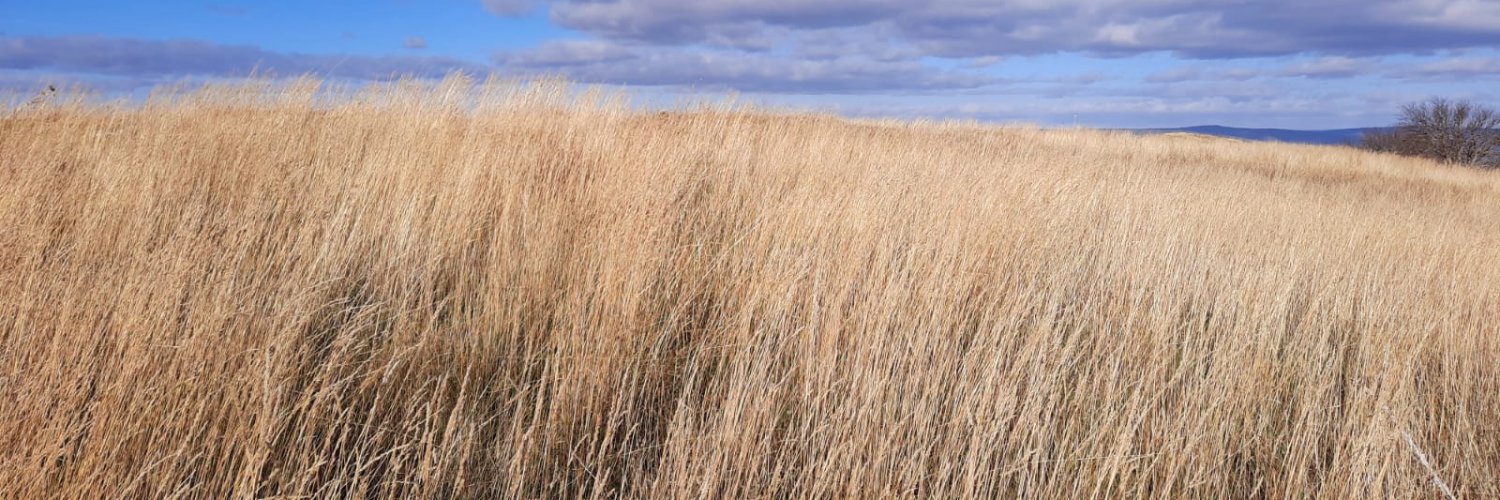 emarcotejon's profile banner image