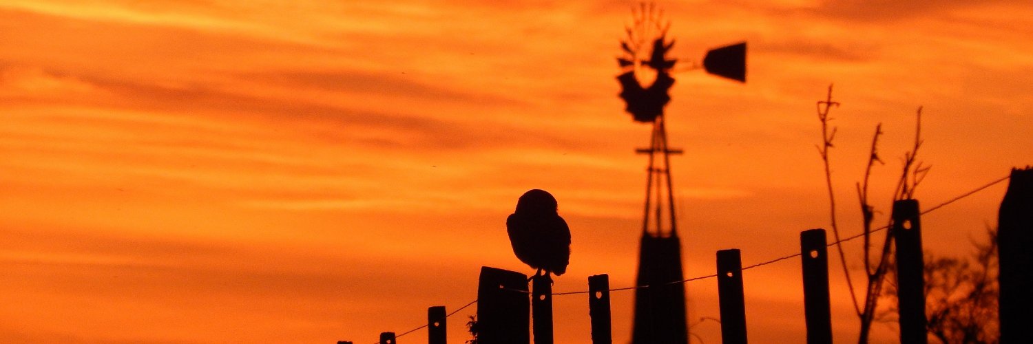 solmjuarez29's profile banner image