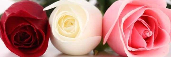 RanonHamada's profile banner image