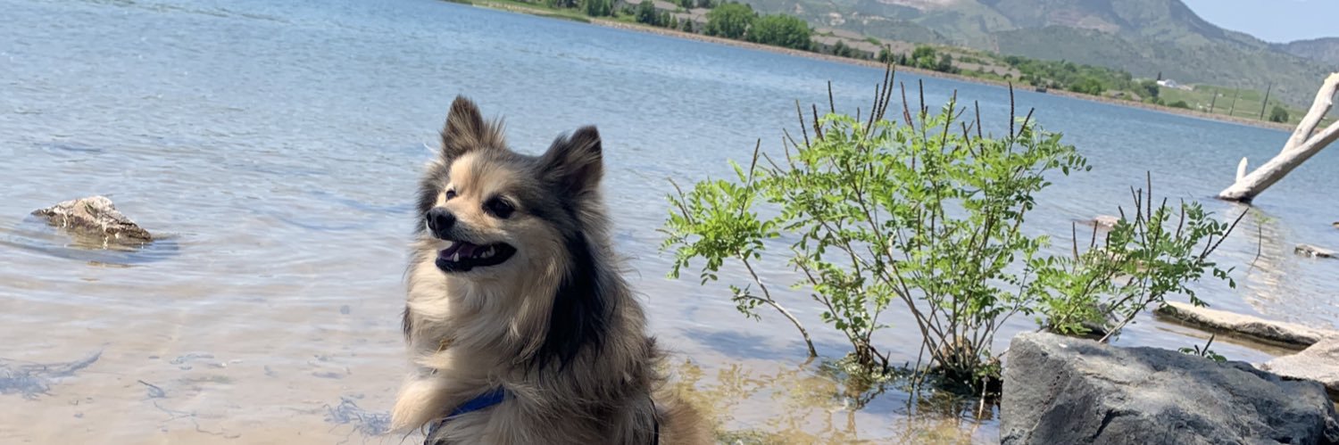 AmandaKatie_'s profile banner image