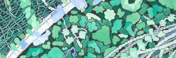 Ditte_Engholm's profile banner image