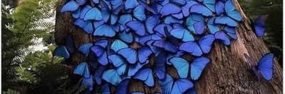 mo_alothman2's profile banner image