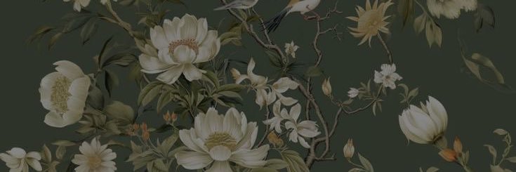 sofimare02's profile banner image