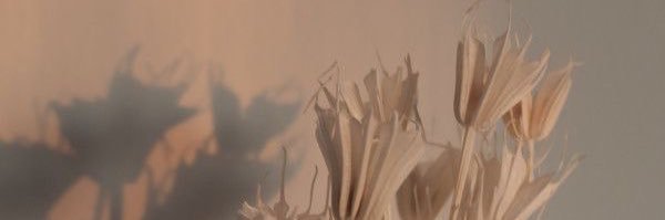 Lalaomita's profile banner image