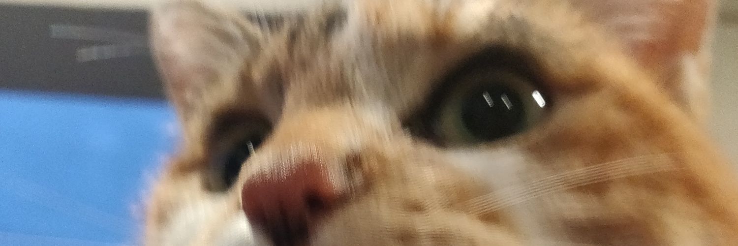 ABK95's profile banner image
