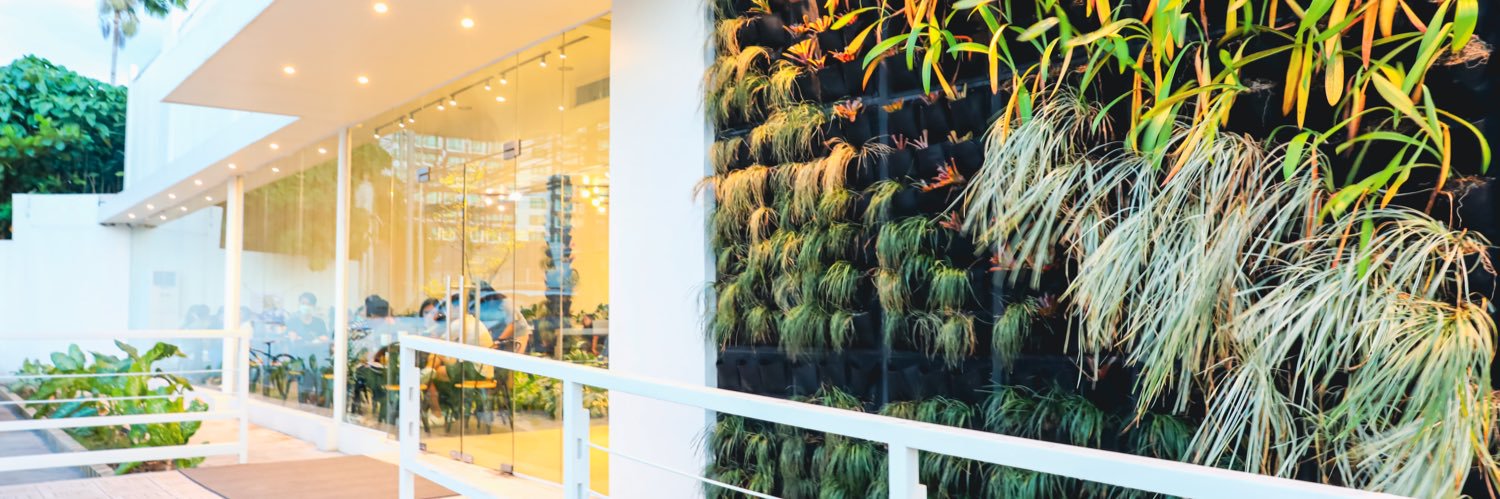 thegreencoffee's profile banner image