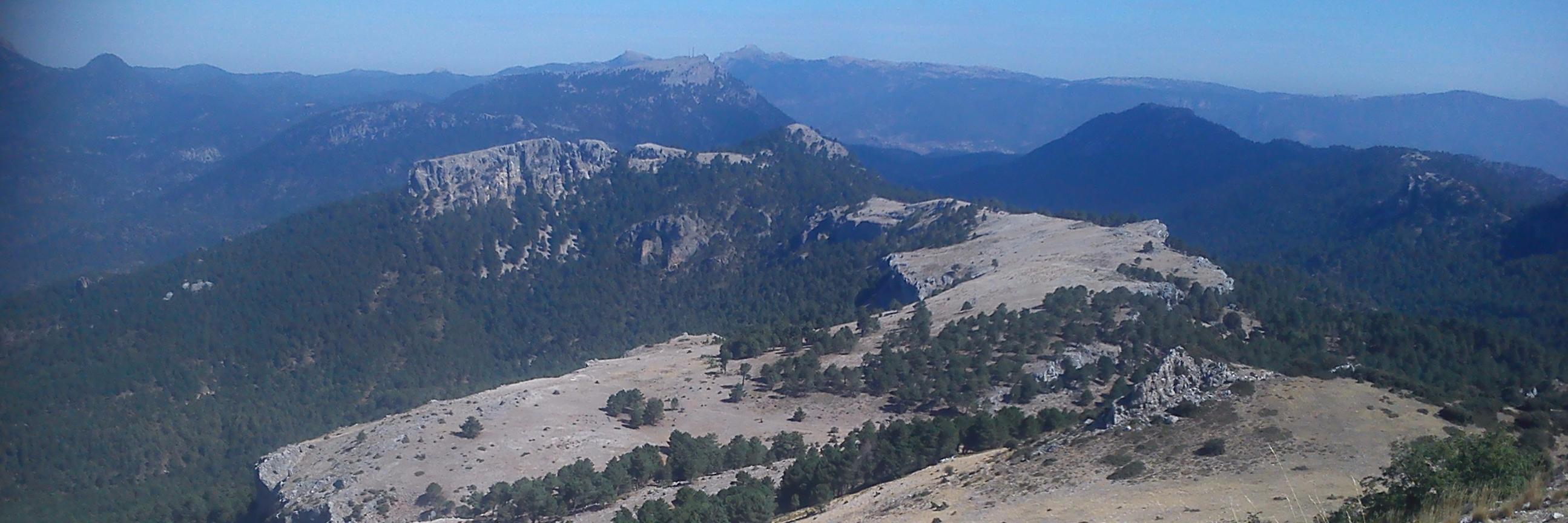 CalarMundoSima's profile banner image