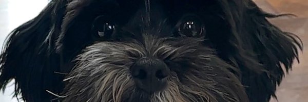 Bill_Huber_ Profile Banner