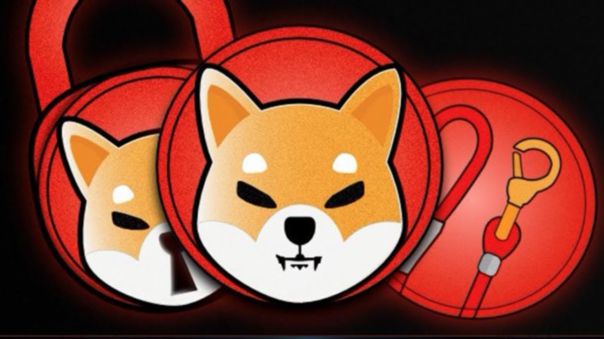camiemista's profile banner image