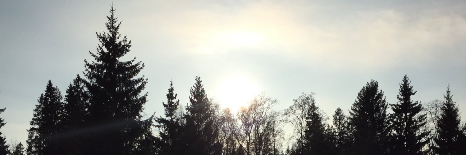 green_lesya's profile banner image