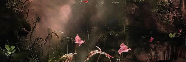 Manic Maximoff banner