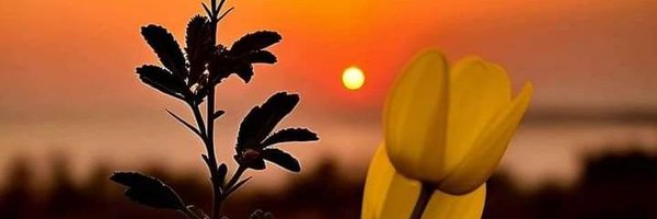 grrhodriguez Profile Banner