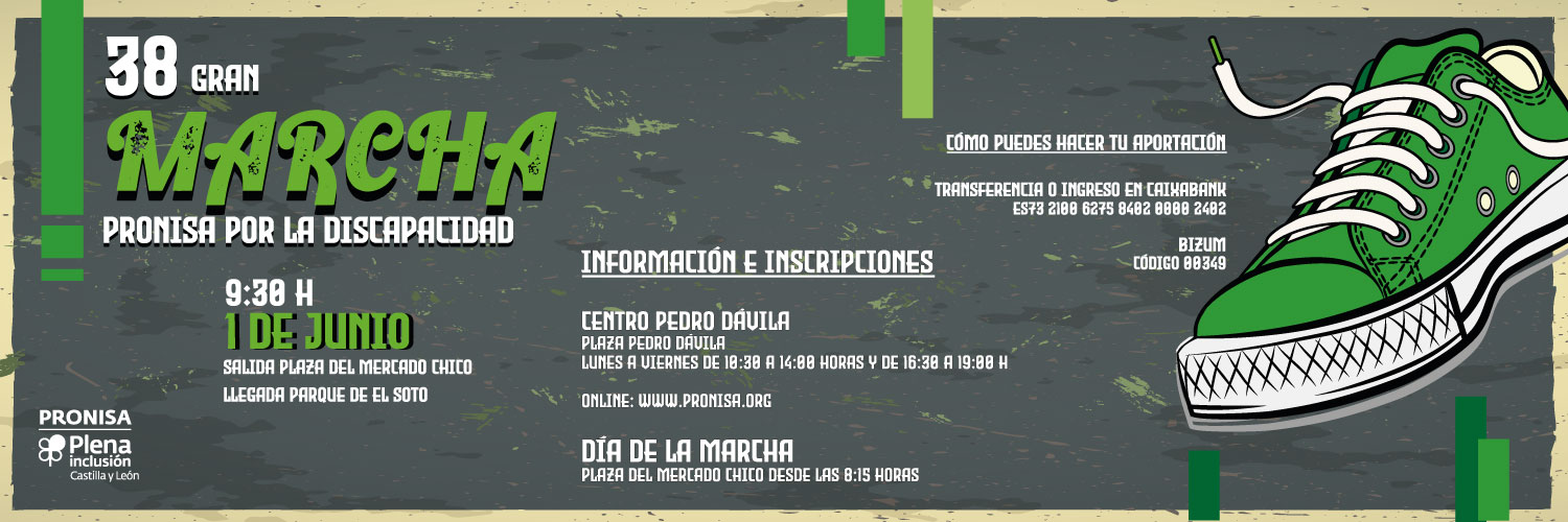 PRONISA Plena Inclusión Ávila banner