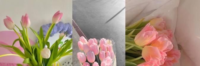 ˚˖𓍢ִ໋🦢˚ faa banner
