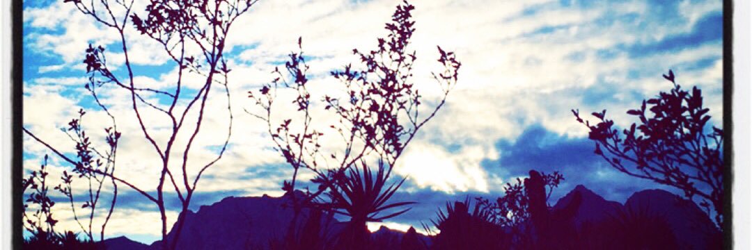 JillCirr's profile banner image