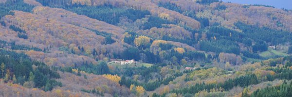 regefor Profile Banner