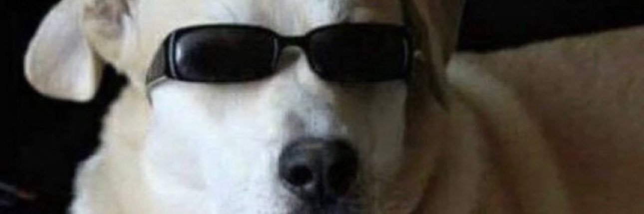 Evilunicorn77's profile banner image