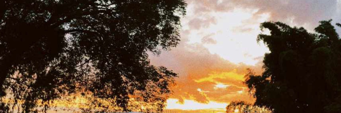 elleen08's profile banner image