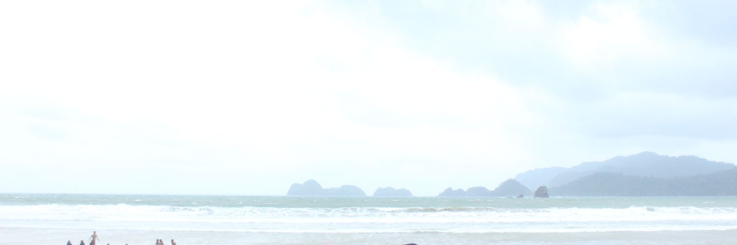 Nancyleoninp's profile banner image