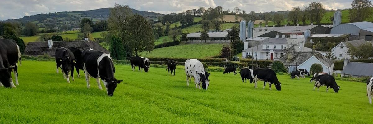 donalogorman00's profile banner image
