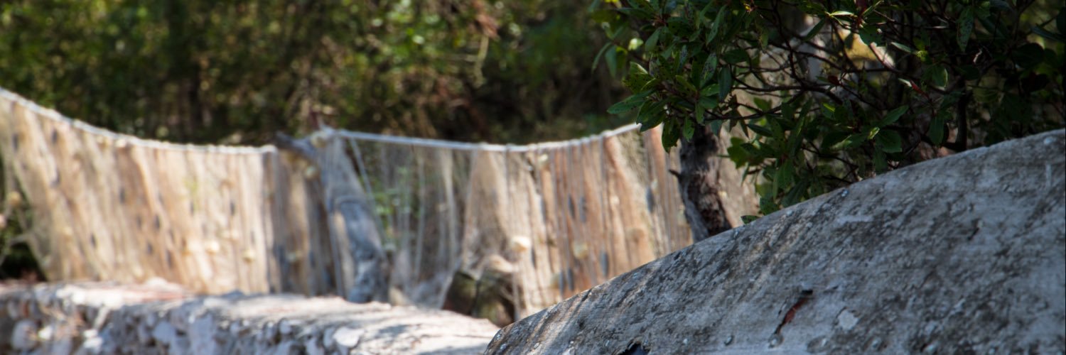lenmal_'s profile banner image