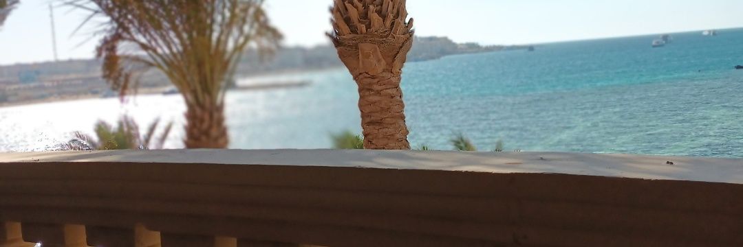 EnasHoussam87's profile banner image