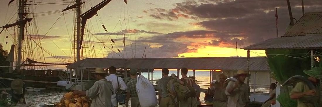 QuickWitNitWit 🔍 banner