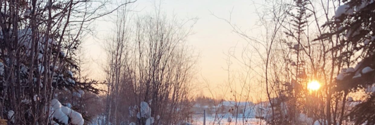 TaylorBrookson's profile banner image