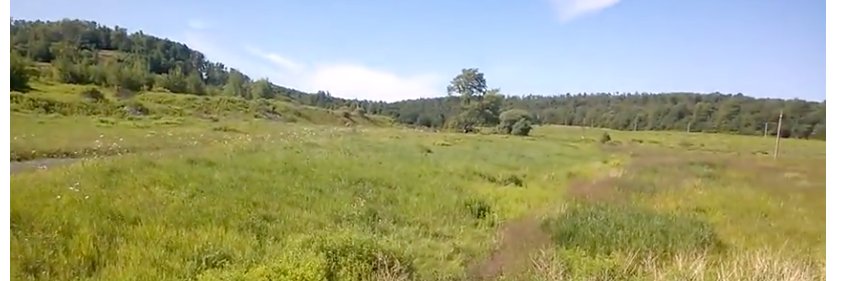 Debbie Hillman -- Food + Farms + Democracy banner