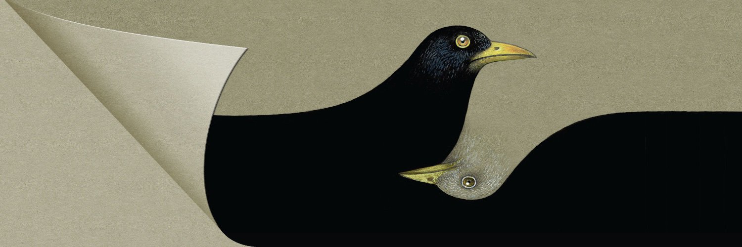 zygzet's profile banner image