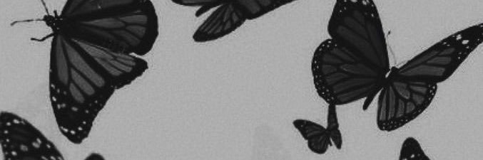 pi_ipaa's profile banner image