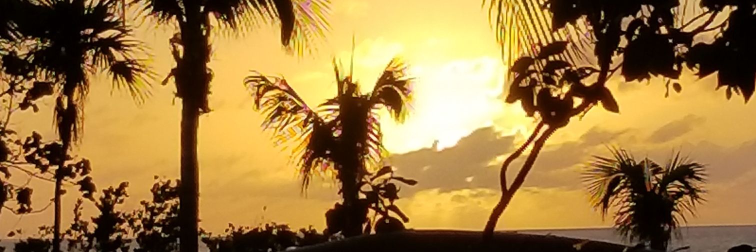 TheMgnfcntJenn's profile banner image