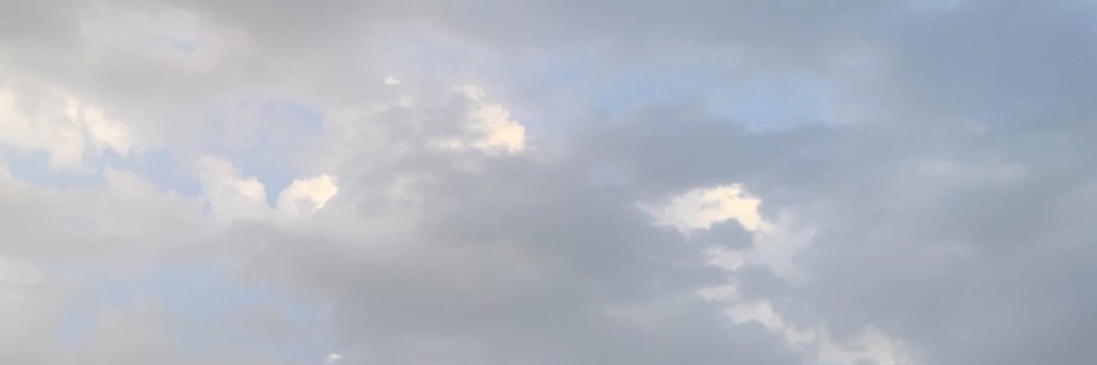 رهـف banner