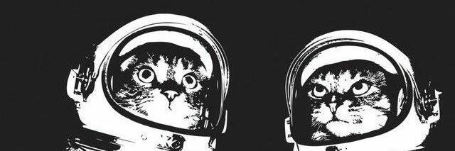 JuSchimmet's profile banner image