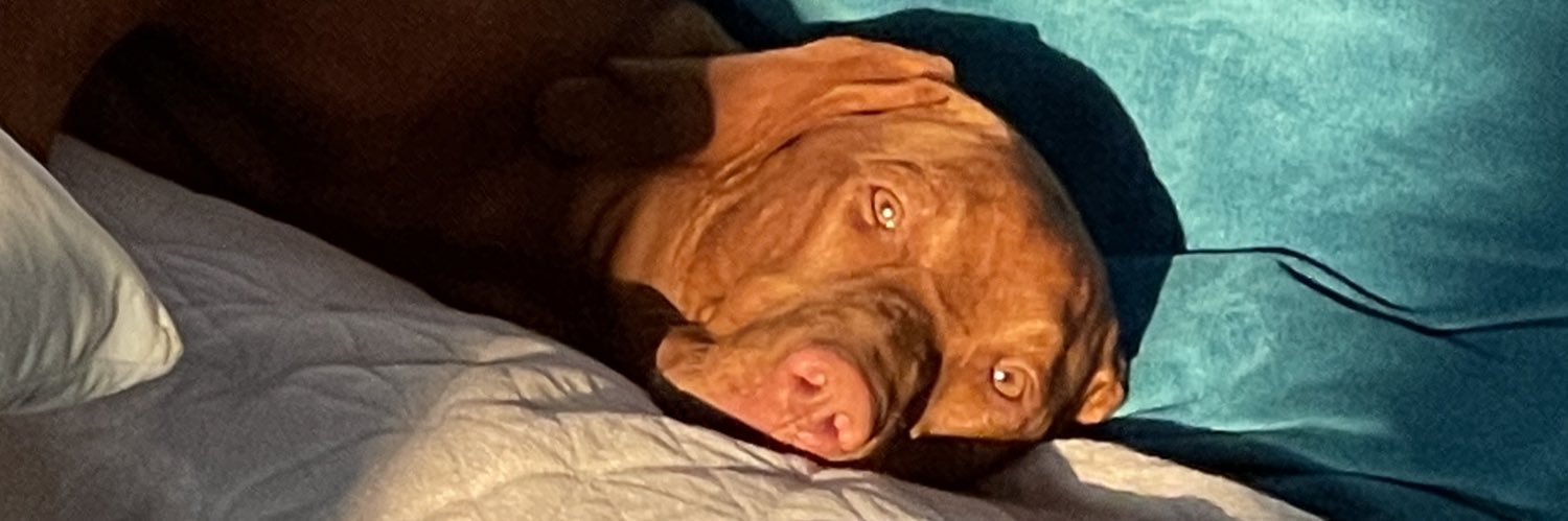 WeisserDieter's profile banner image