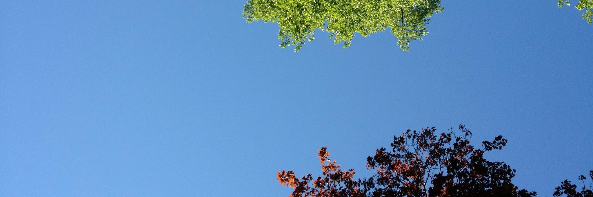 Jillian Weinberger banner
