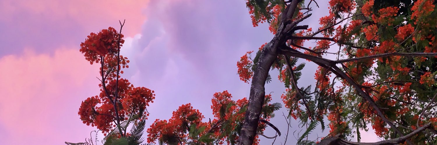 yohannaaa_'s profile banner image