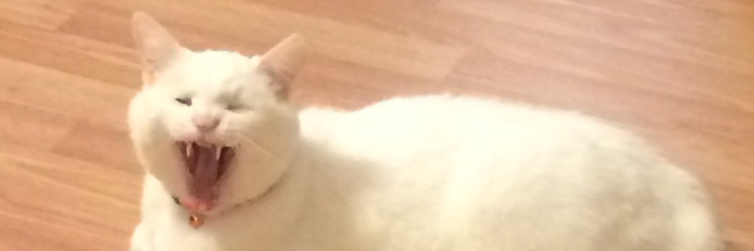 cneshe's profile banner image