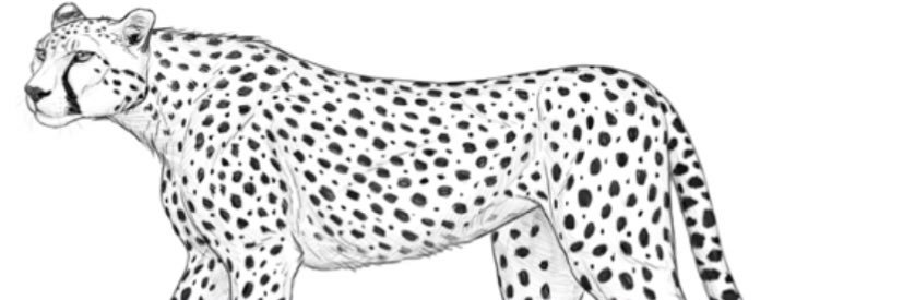 Ajyemi's profile banner image
