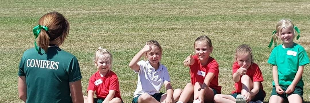 ConifersSchool's profile banner image