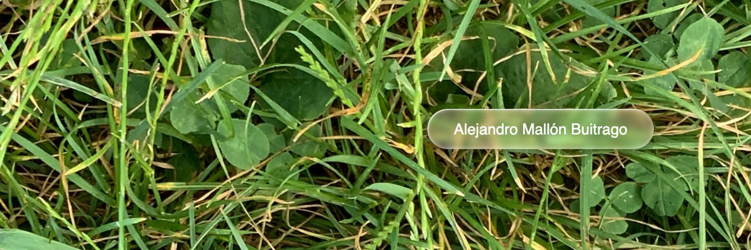 AlejandroMallon's profile banner image