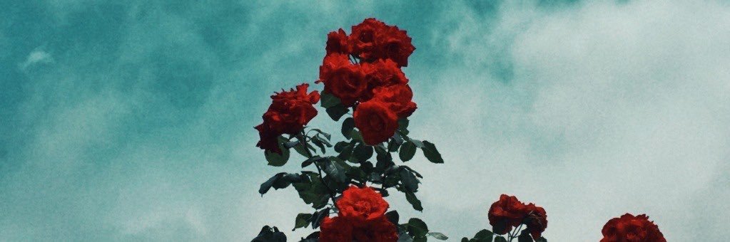 taylormarshell's profile banner image