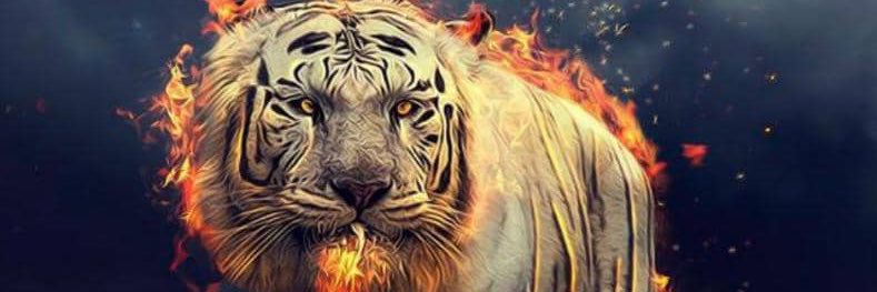 jeryjeff105's profile banner image