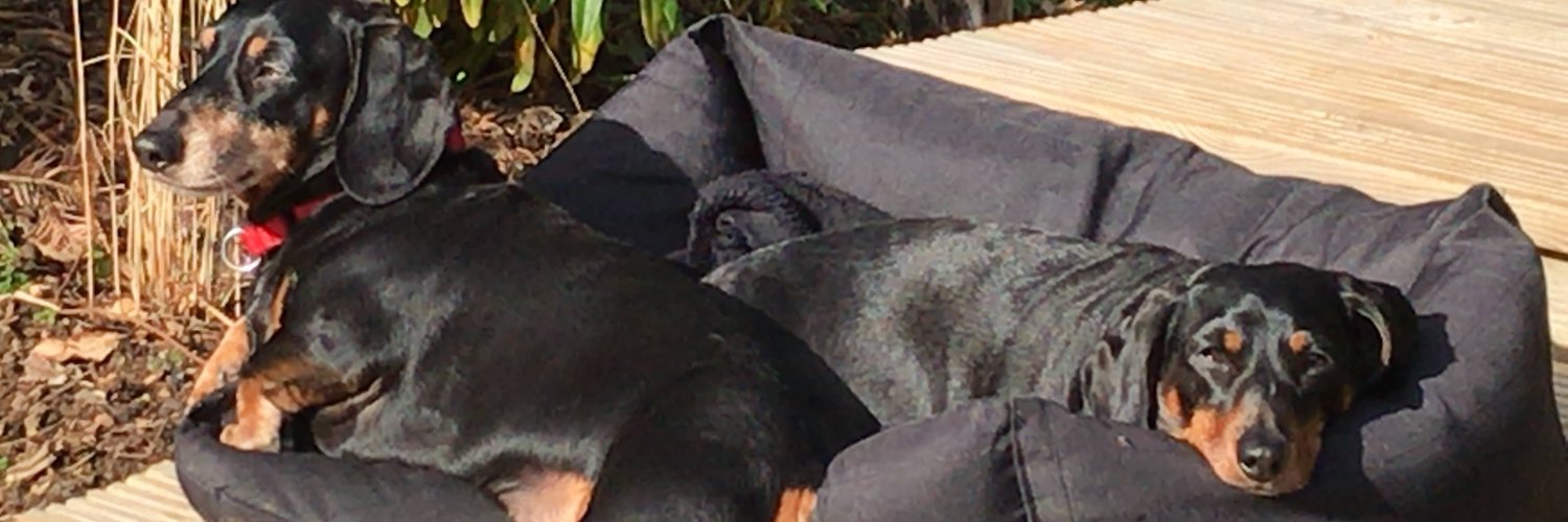 rashaw77's profile banner image