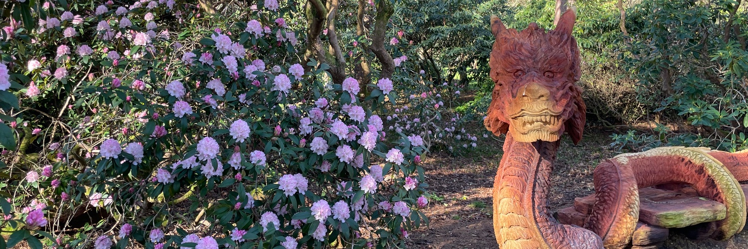 Ramster Garden and teahouse (@RamsterGarden) / Posts / X