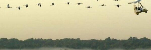 ecosource Profile Banner