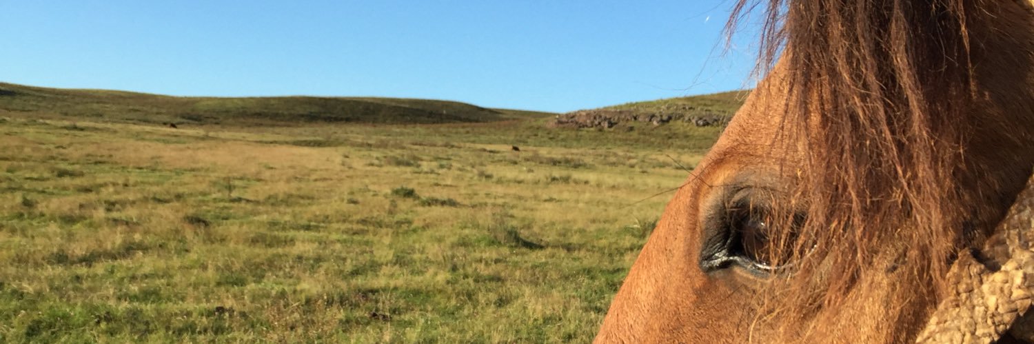 teixeiraescobal's profile banner image