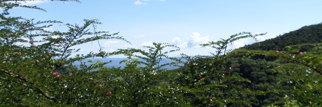 colinebillon1's profile banner image