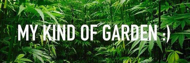 _HighxThoughts_'s profile banner image