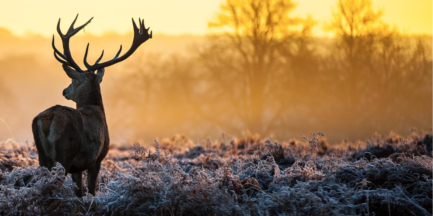 JD_Johnston1's profile banner image